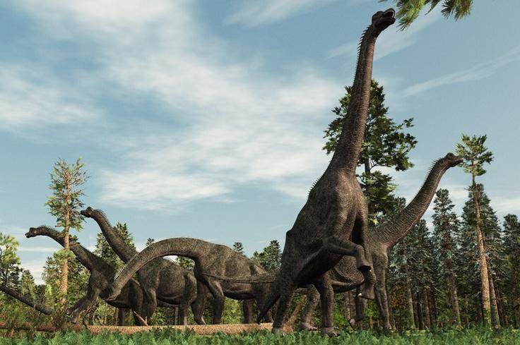 Mamenchisaurus là loài khủng long lớn nhất thế giới
