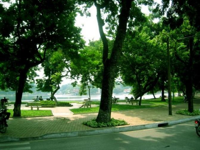 Phố Nguyễn Du