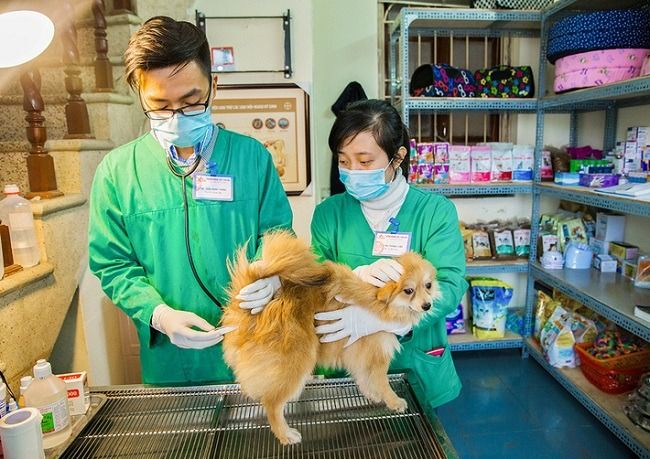 Phòng khám thú y Mỹ Nhiên