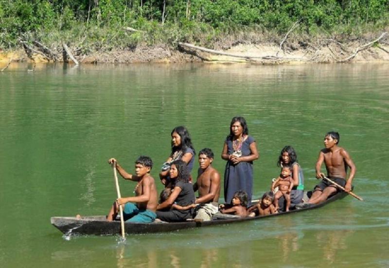 Pirahã: Amazonas, Brazil