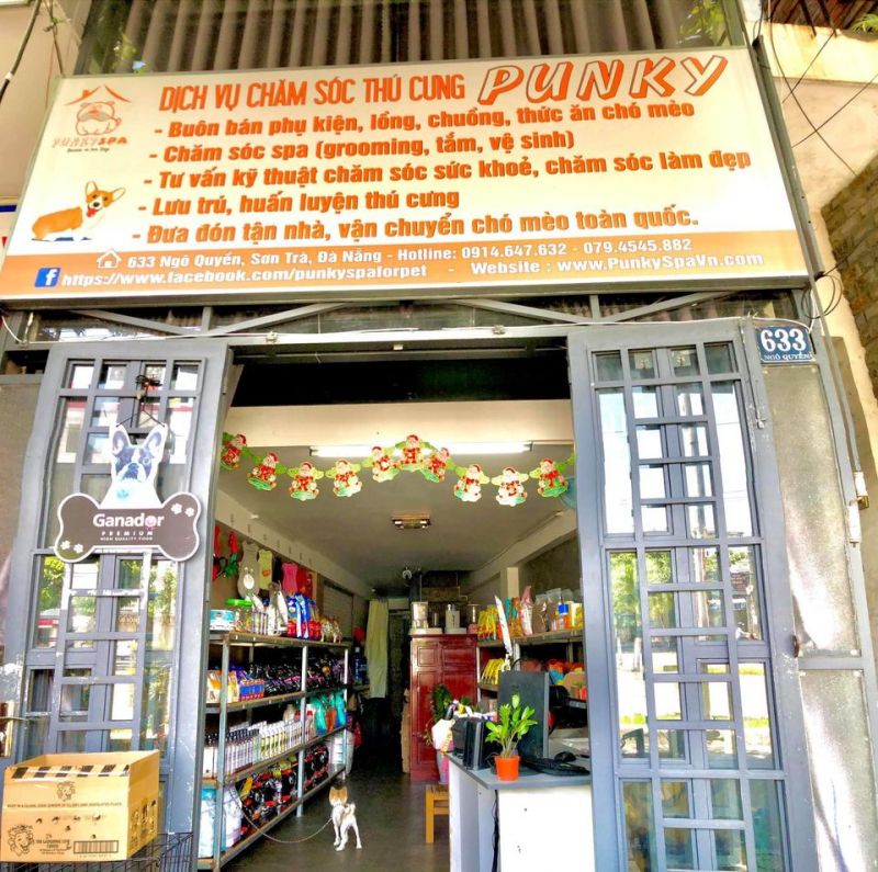 Punky spa