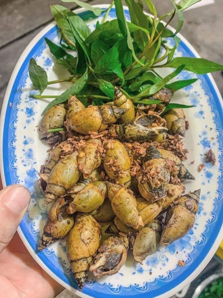 Quán Ốc Sơn