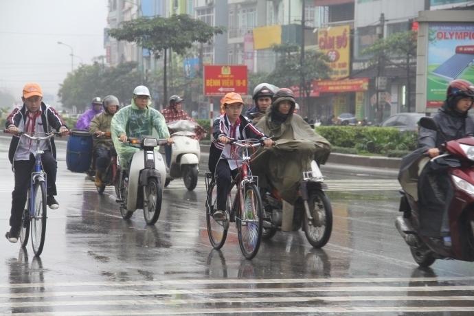 Quan sát kĩ và di chuyển chậm