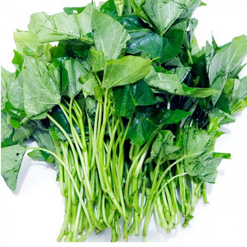 Ngoài ra món rau khoai lang này﻿ còn cực mát, lợi sữa mà tránh táo bón cho các mẹ trong quá trình kiêng khem.