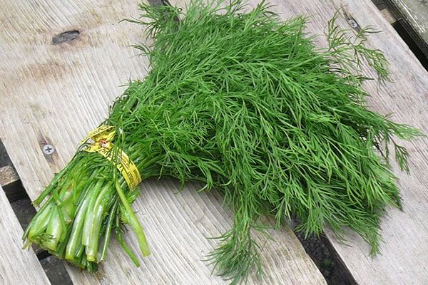 Dùng nước ép rau thì là để súc miệng hàng ngày 2 lần sáng và tối