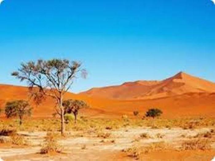 Sa mạc Kalahari