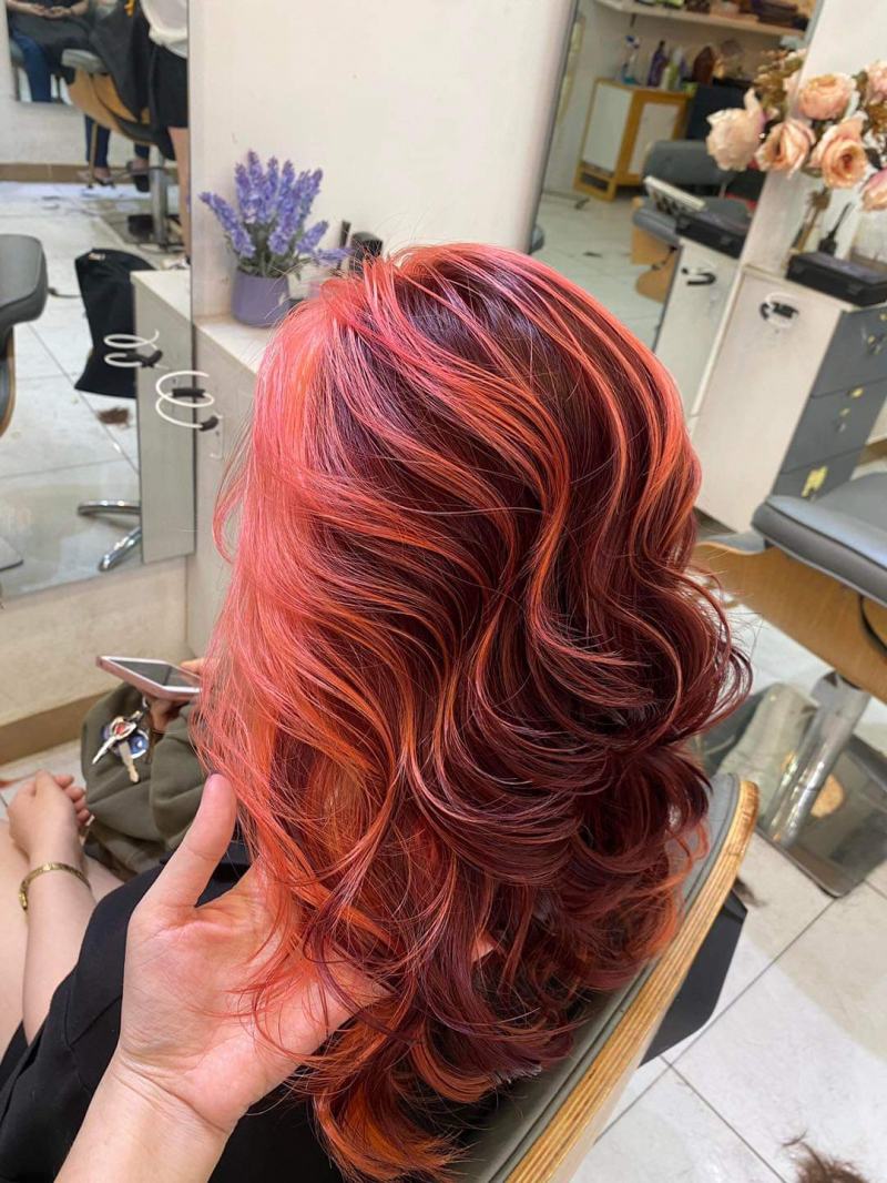 Salon Bắc Trần Tiến