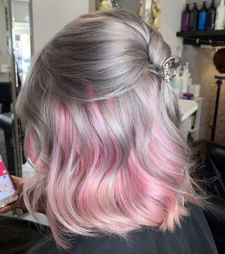 Salon Bắc Trần Tiến