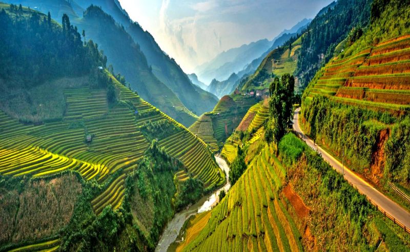 Sapa