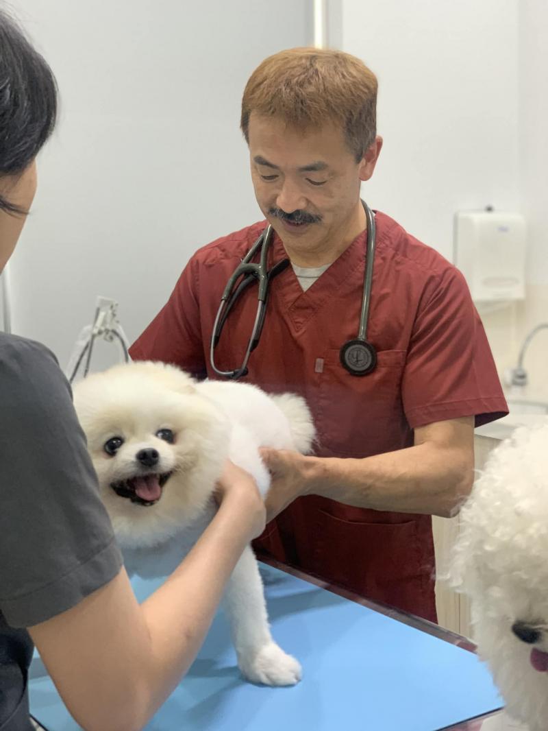 Sasaki Animal Hospital