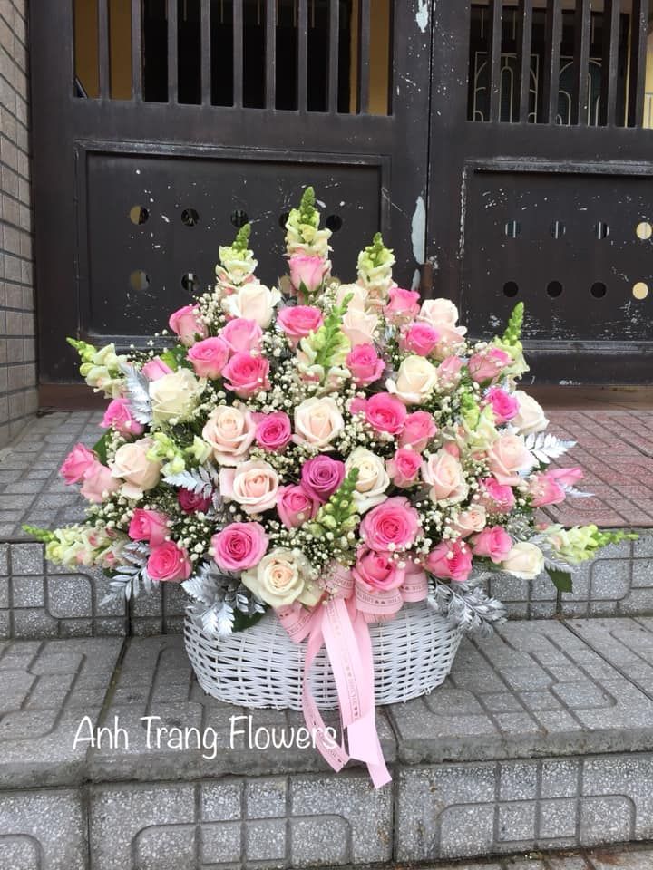 Shop Hoa Anh Trang