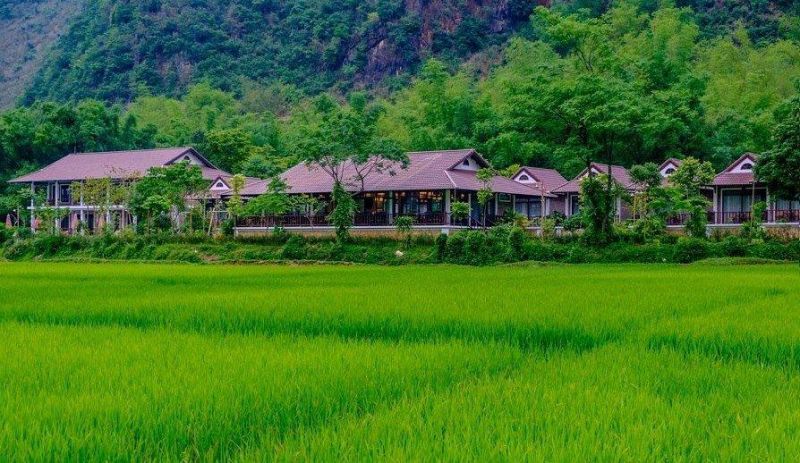 Và vẻ xanh tươi khi ngắm nhìn từ bên ngoài của Sol Bungalows