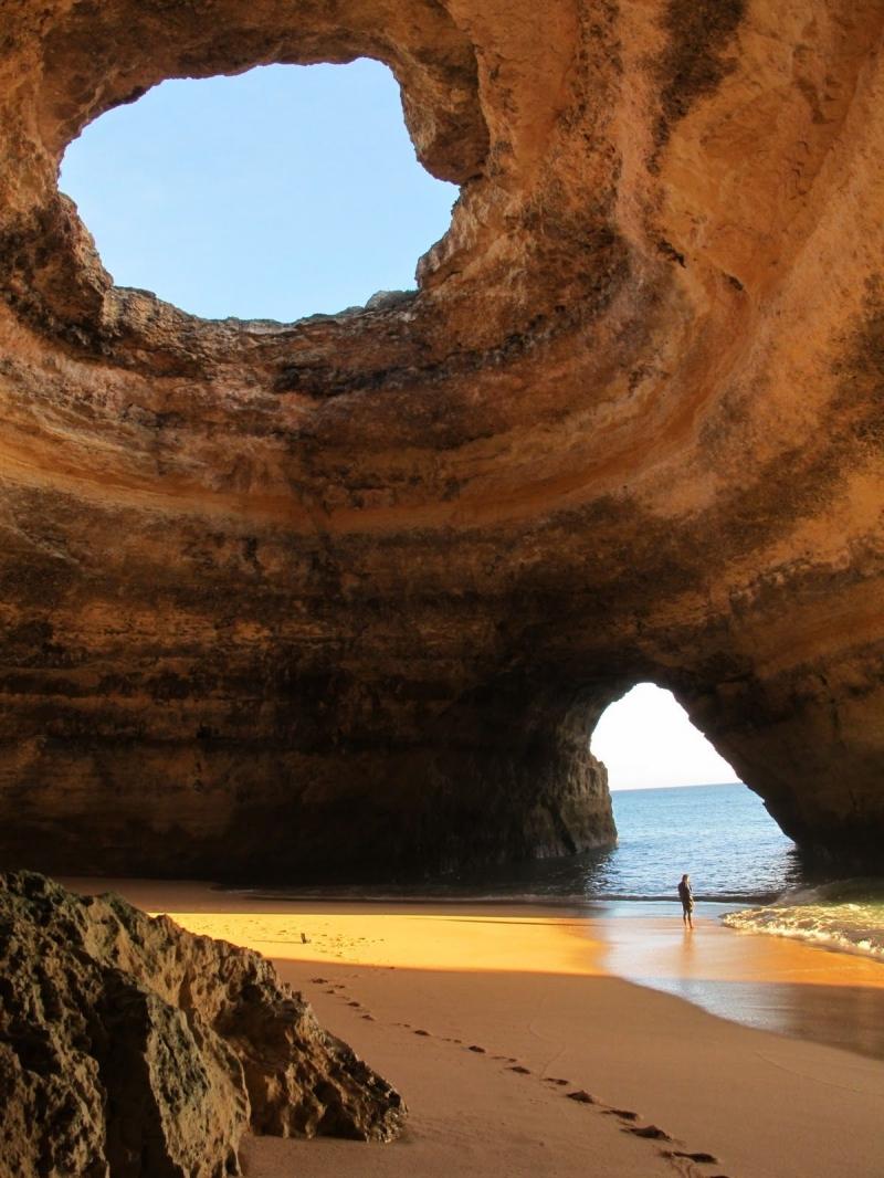 Hang Sơn Đoòng, hàng động kỳ thú