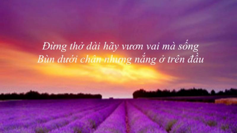 Cuộc sống cần tiếp theo nghị lực