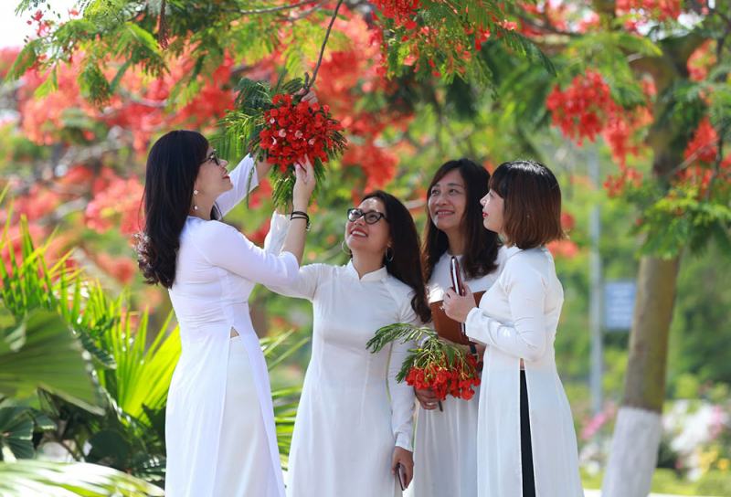 Hình minh hoạ