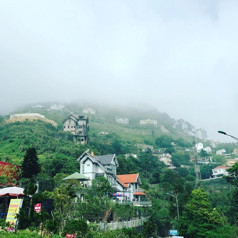 Tam Đảo