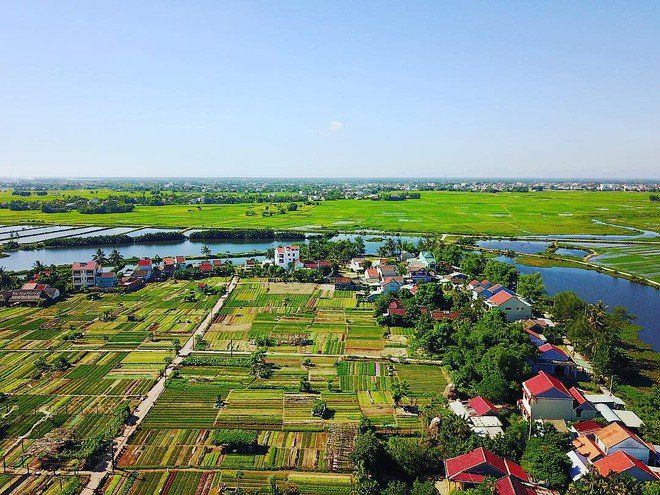 Làng rau Trà quế nhìn từ trên cao