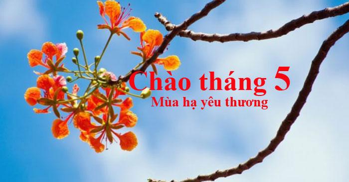 Ảnh minh họa (nguồn internet)