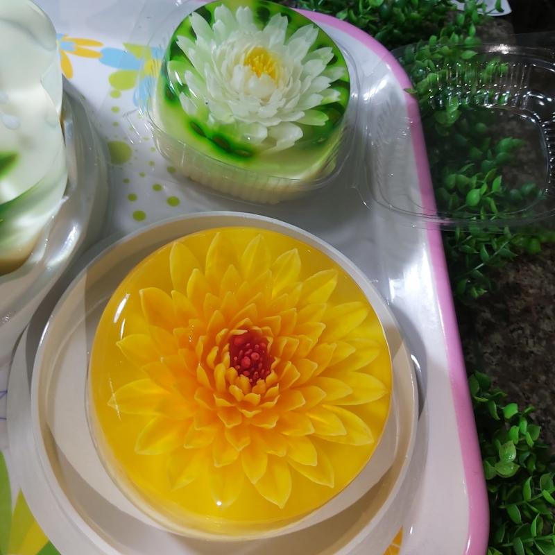 Thạch Rau Câu 3D Hải Phòng