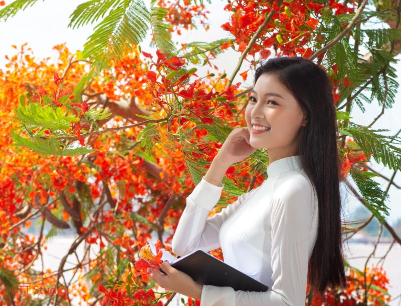 Hình minh họa