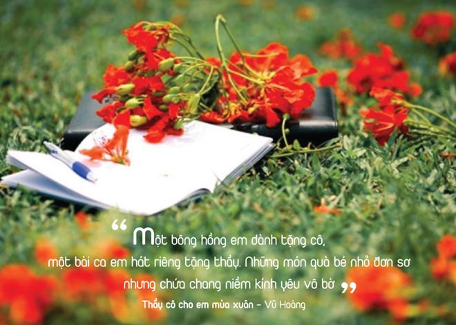 Hạ ơi