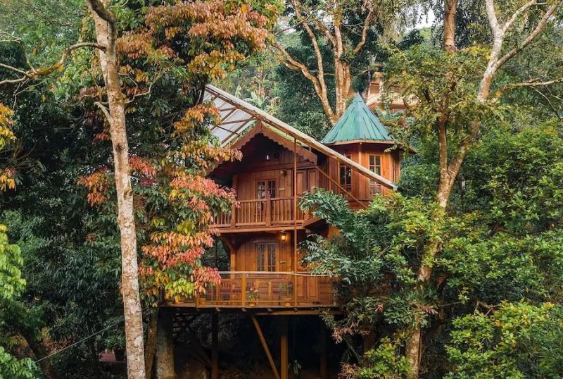 The Tree House, Katakeri- Karnataka