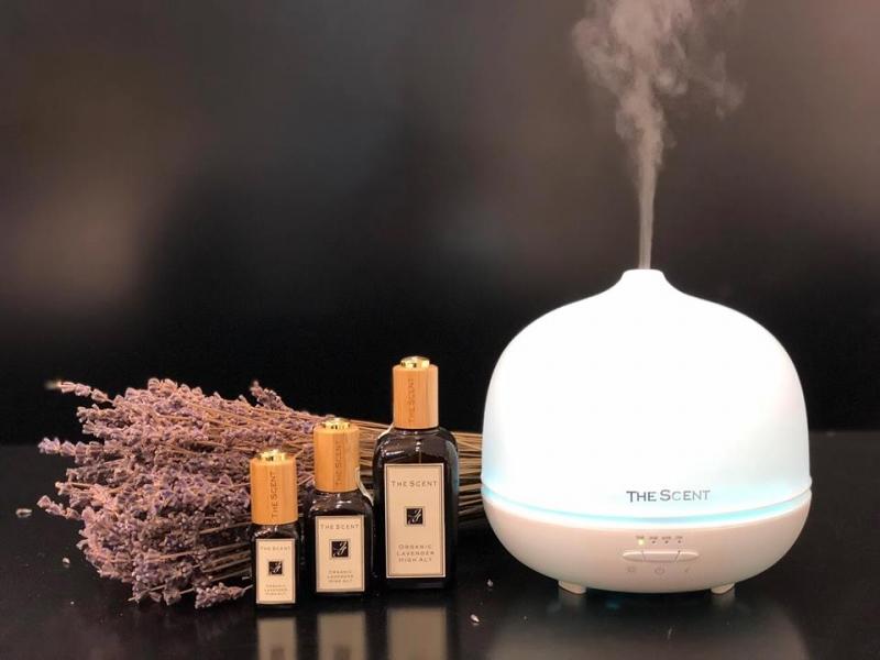 THESCENT SHOP