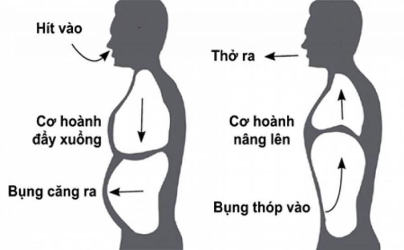 Vận động cơ hô hấp