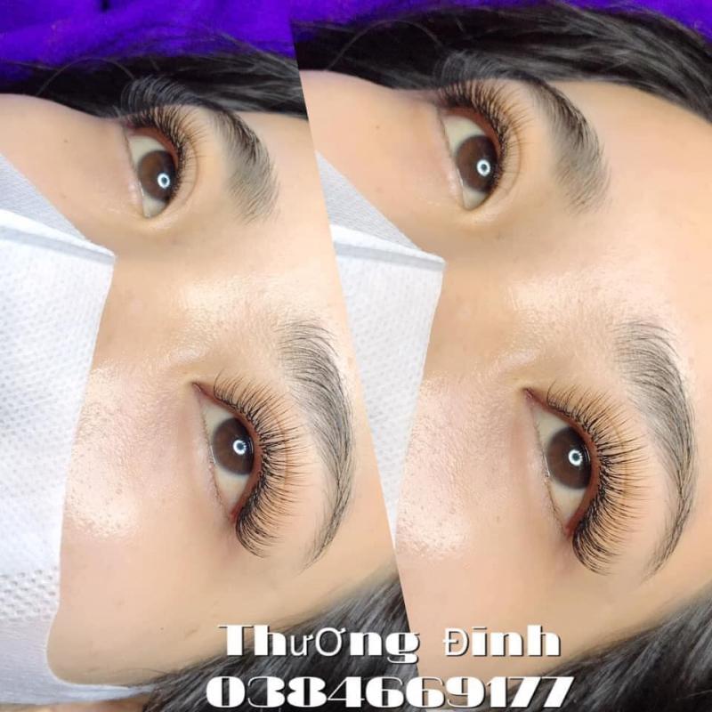 Thương Đinh Nối Mi