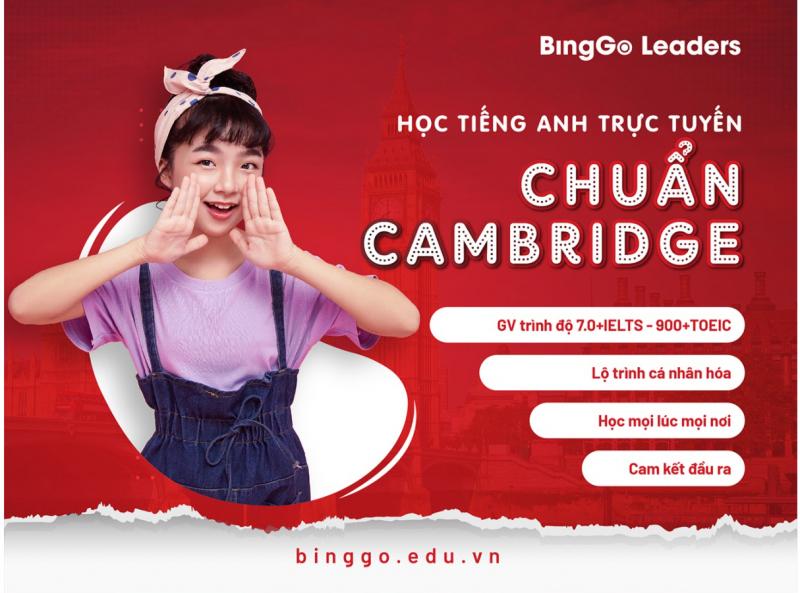 BingGo Leaders