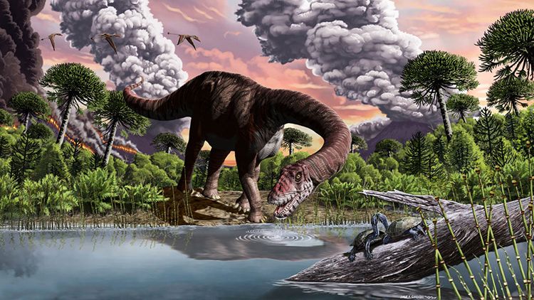 Tính biểu tượng của Mamenchisaurus