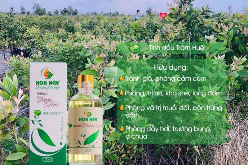 Dầu tràm Huế