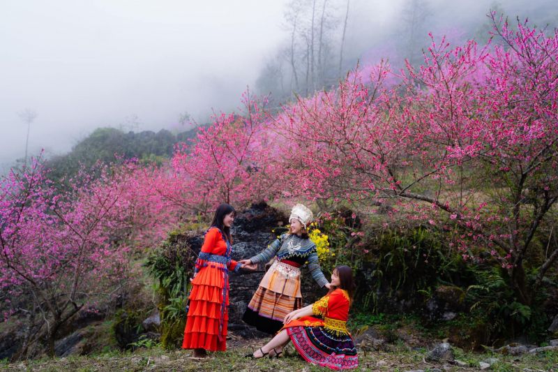 Bài thơ: Nụ cười xuân