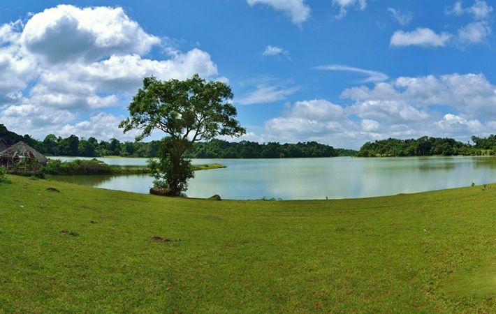 Trảng cỏ Bù Lạch