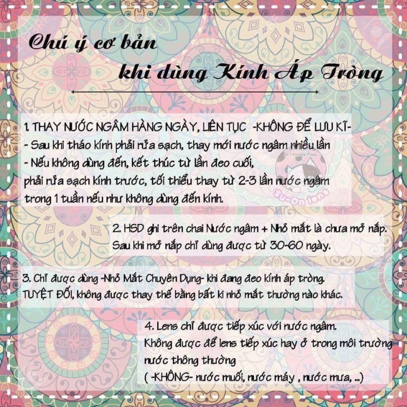 Lens Trinh Nguyễn