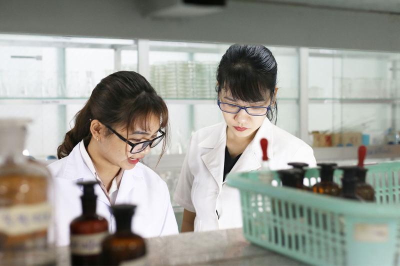 Trường Cao đẳng Bách Việt
