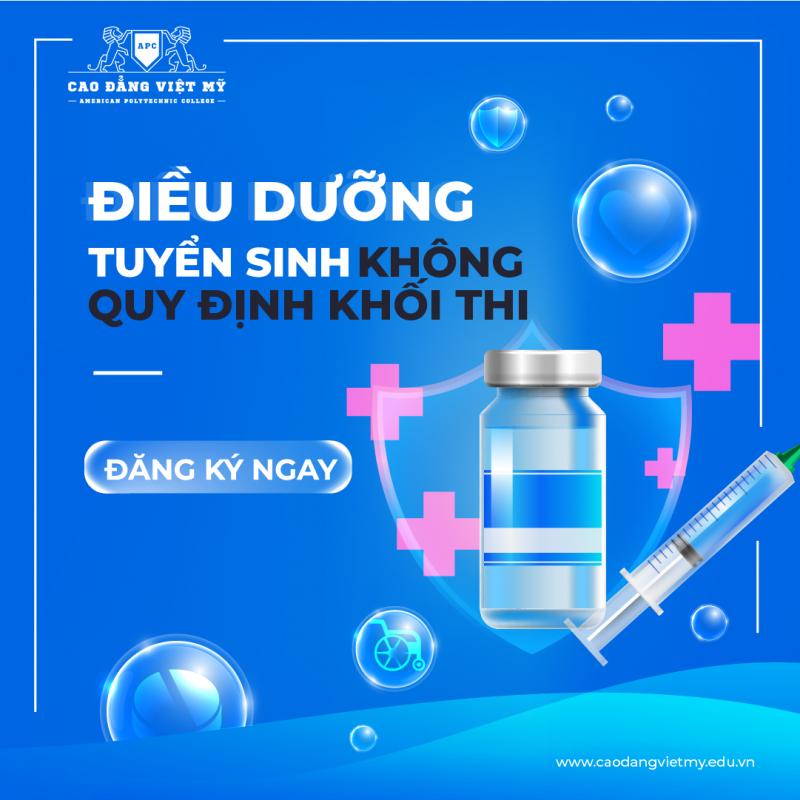 Trường Cao đẳng Việt Mỹ