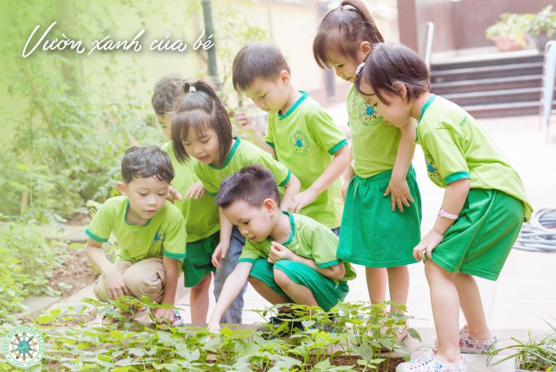 Trường mầm non Hà Nội Montessori