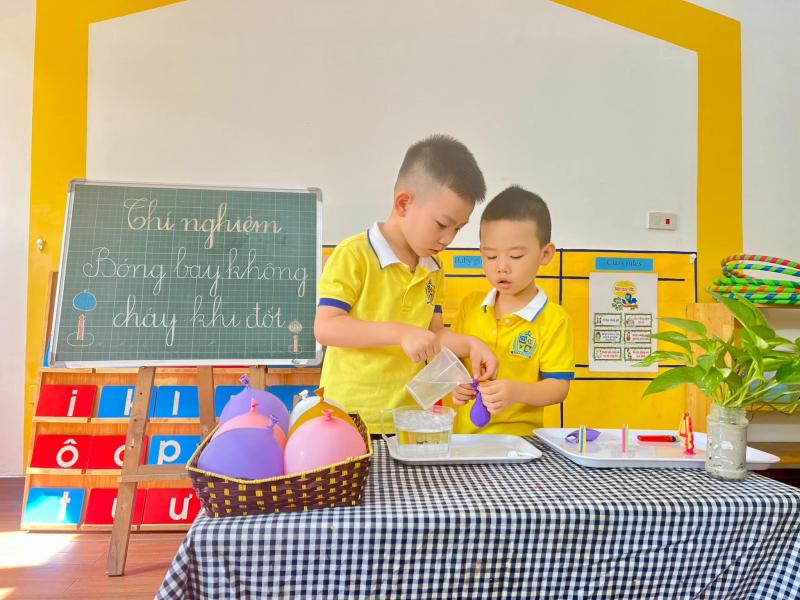 Trường mầm non Song ngữ Hoa Sen