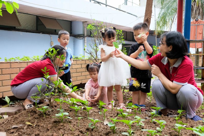 Trường mầm non Thăng Long Academy