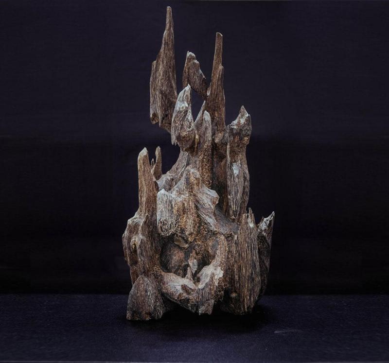 Việt Hương Trầm