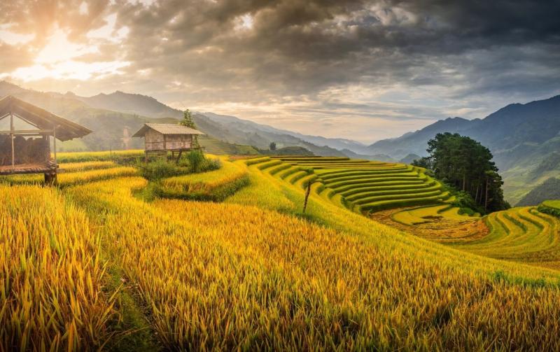 Việt Nam