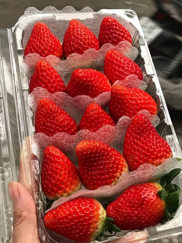 Vinfruits