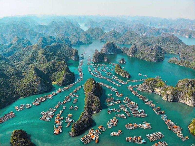 Vịnh Hạ Long