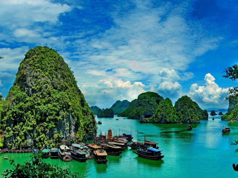 Vịnh Hạ Long, Việt Nam