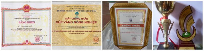 Vua diệt chuột Trần Quang Thiều