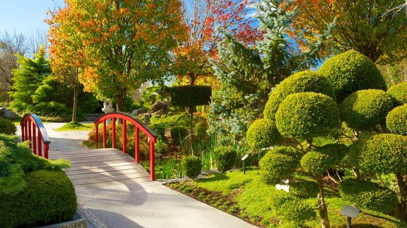 Khu vườn Hunter Valley xinh đẹp, xanh tươi
