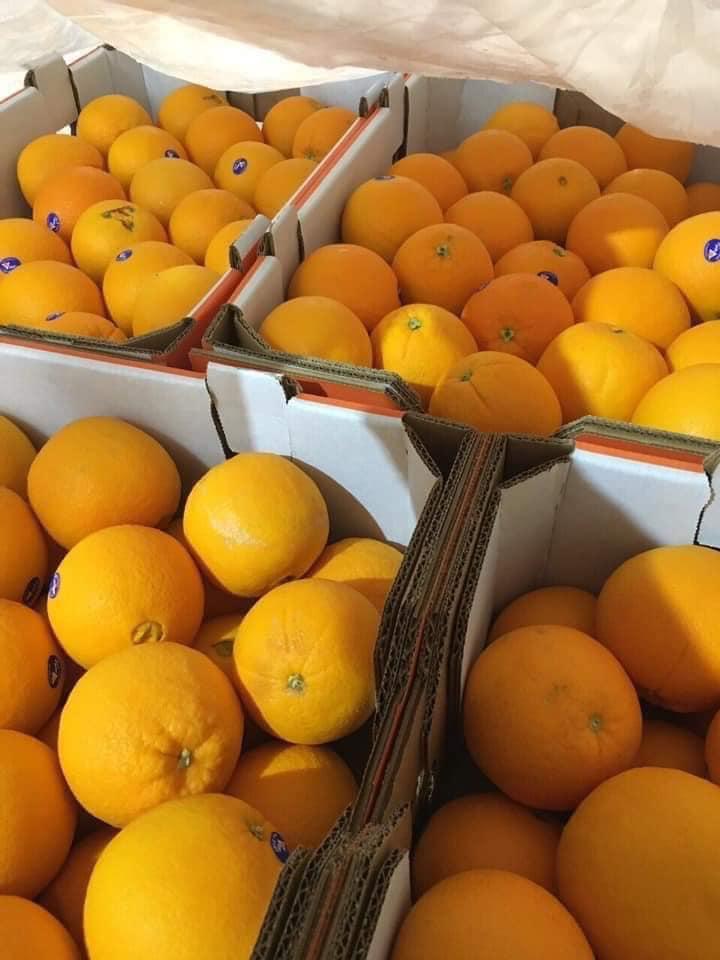 Xí Muội Fruits