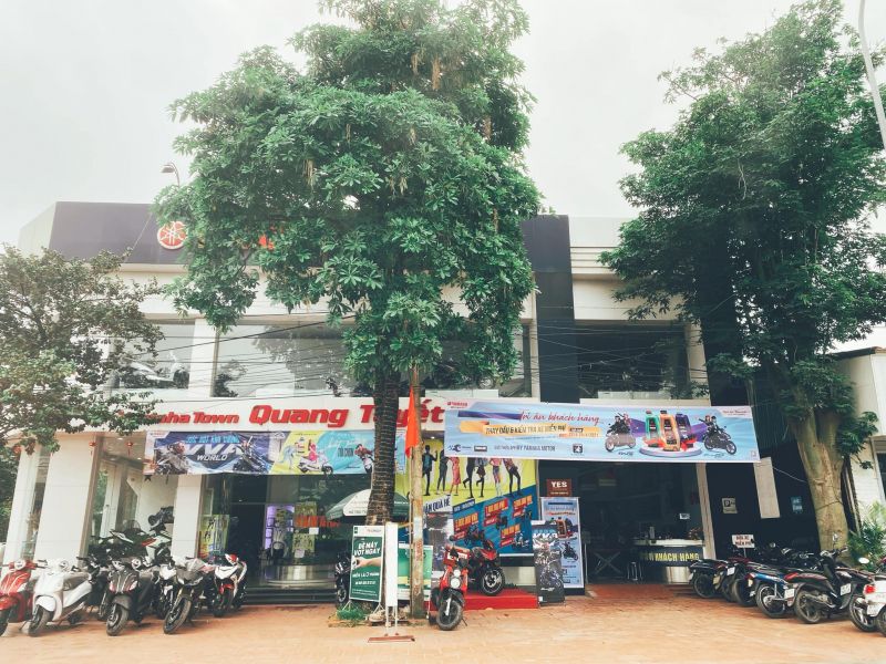 Yamaha Town Quang Tuyết